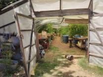 Greenhouse